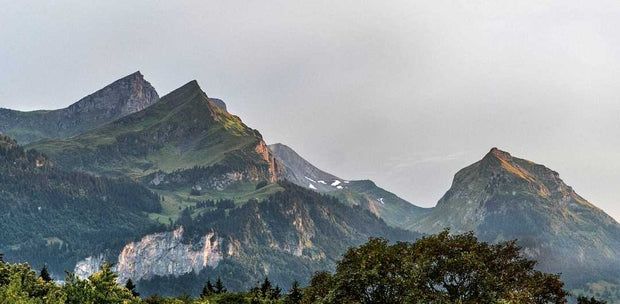 Banner image for: Moving Upward and Onward